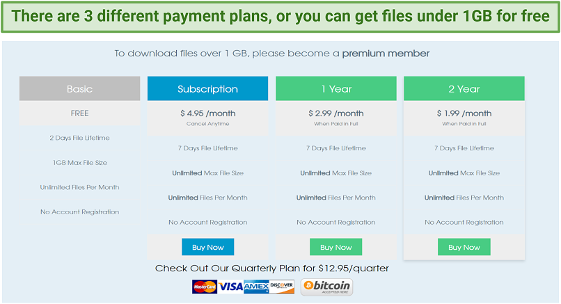 Graphic showing TorrentSafe's payment plans