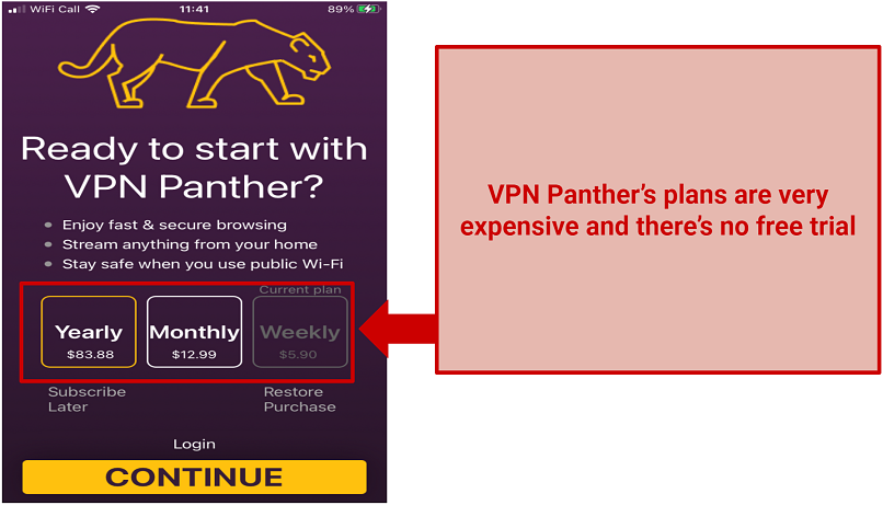 graphic showing VPN Panther's subscriptions