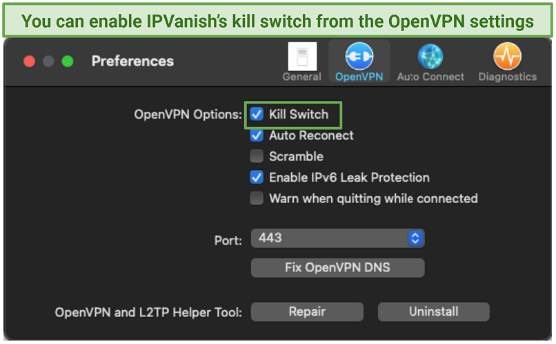 Graphic of IPVanish's OpenVPN settings