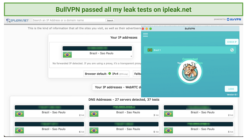 screenshot of BullVPN's leak tests