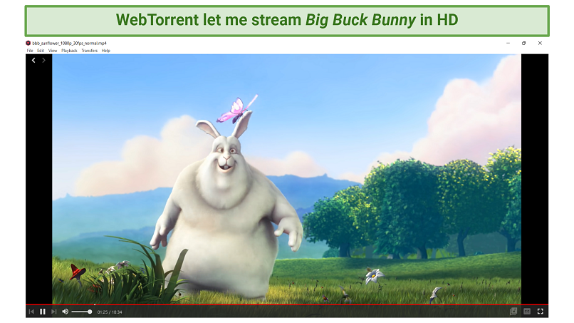 A screenshot showing WebTorrent has a built-in media player