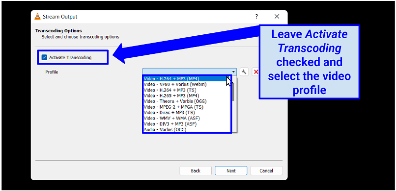 Picture of VLC stream output window