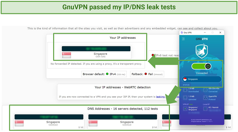 A screenshot showing GnuVPN passed my leak tests