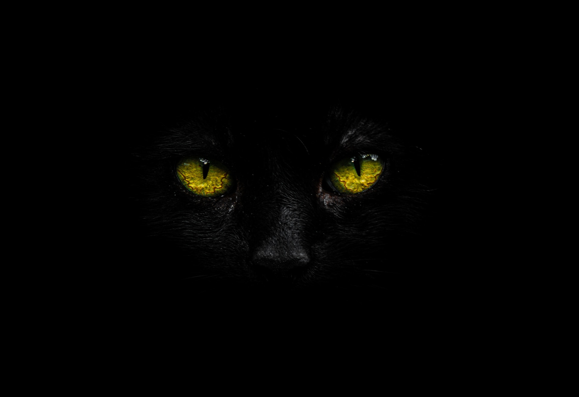 Microsoft Discovers New BlackCat Ransomware Variant