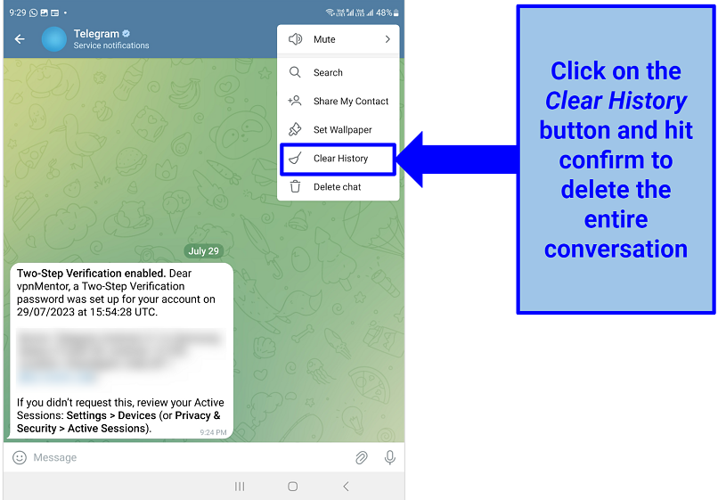 Screenshot of Telegram's chat interface