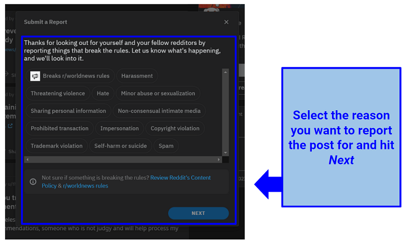 Screenshot of Reddit's report interface