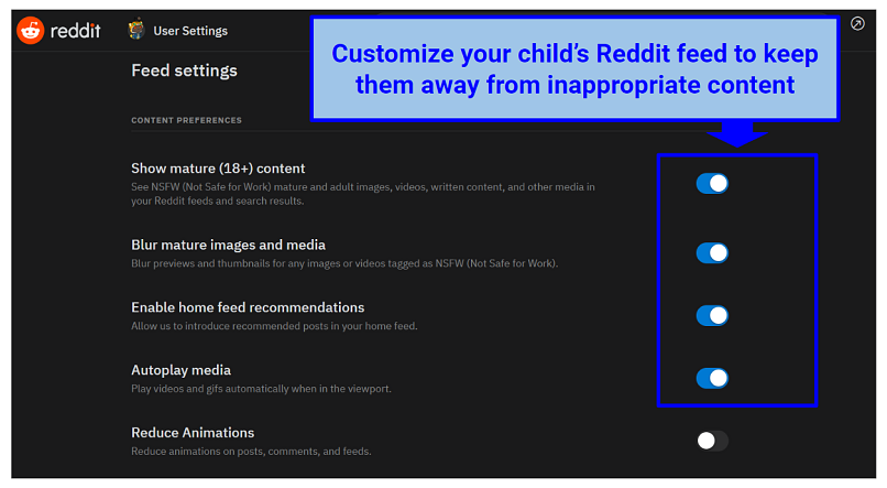 Screenshot of Reddit's feed settings