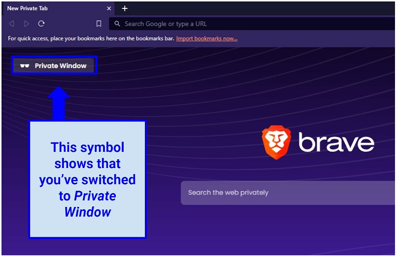 A screenshot of the Brave Private Window outlook