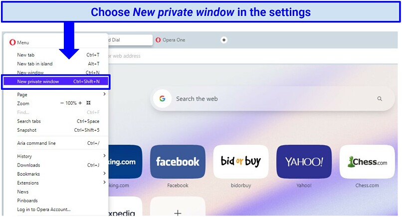 A screenshot of the Opera settings and options