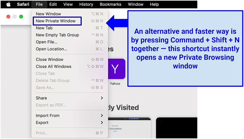 A screenshot of the Safari New Private Window