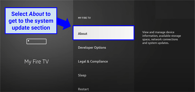 Picture of Amazon Fire TV Stick device settings for updating