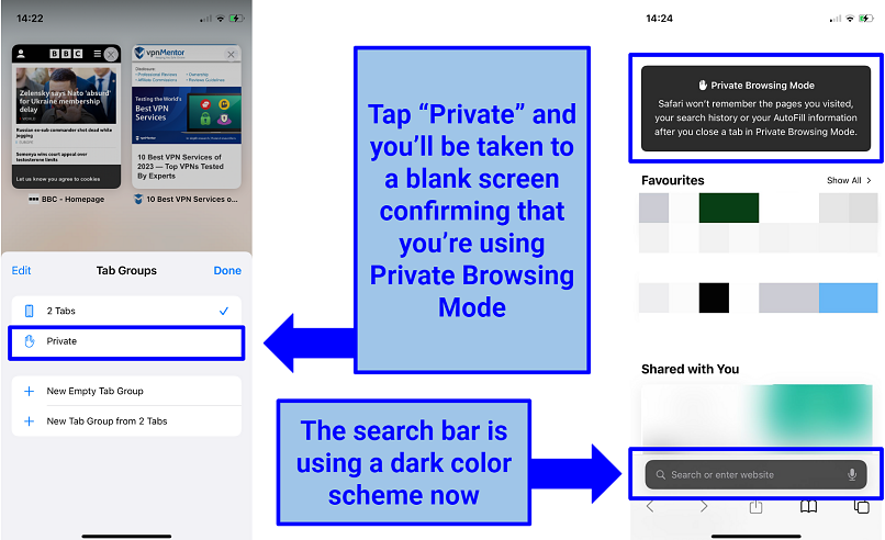 Screenshot of the iOS Safari Private Browsing