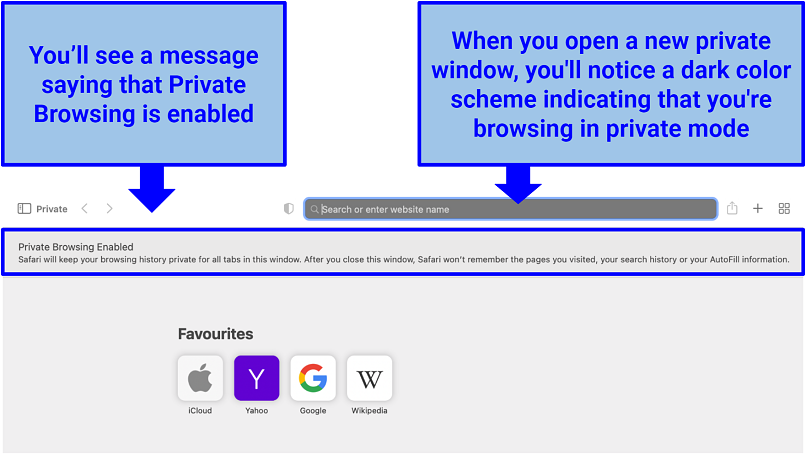 Screenshot of Private Browsing Mode on Safari (MacBook)