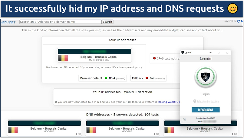 A screenshot showing Le VPN passed DNS and IP leak tests