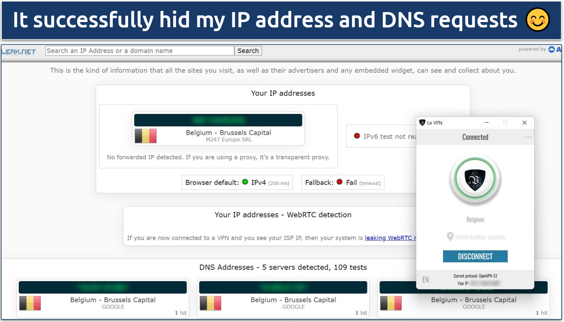 A screenshot showing Le VPN passed DNS and IP leak tests