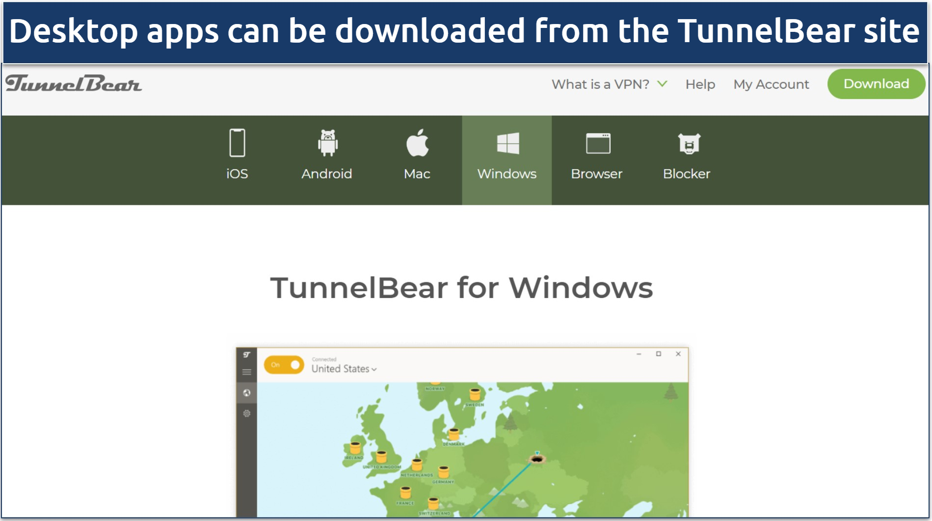 TunnelBear Review 2024 — Is Its Free VPN Good and Safe?