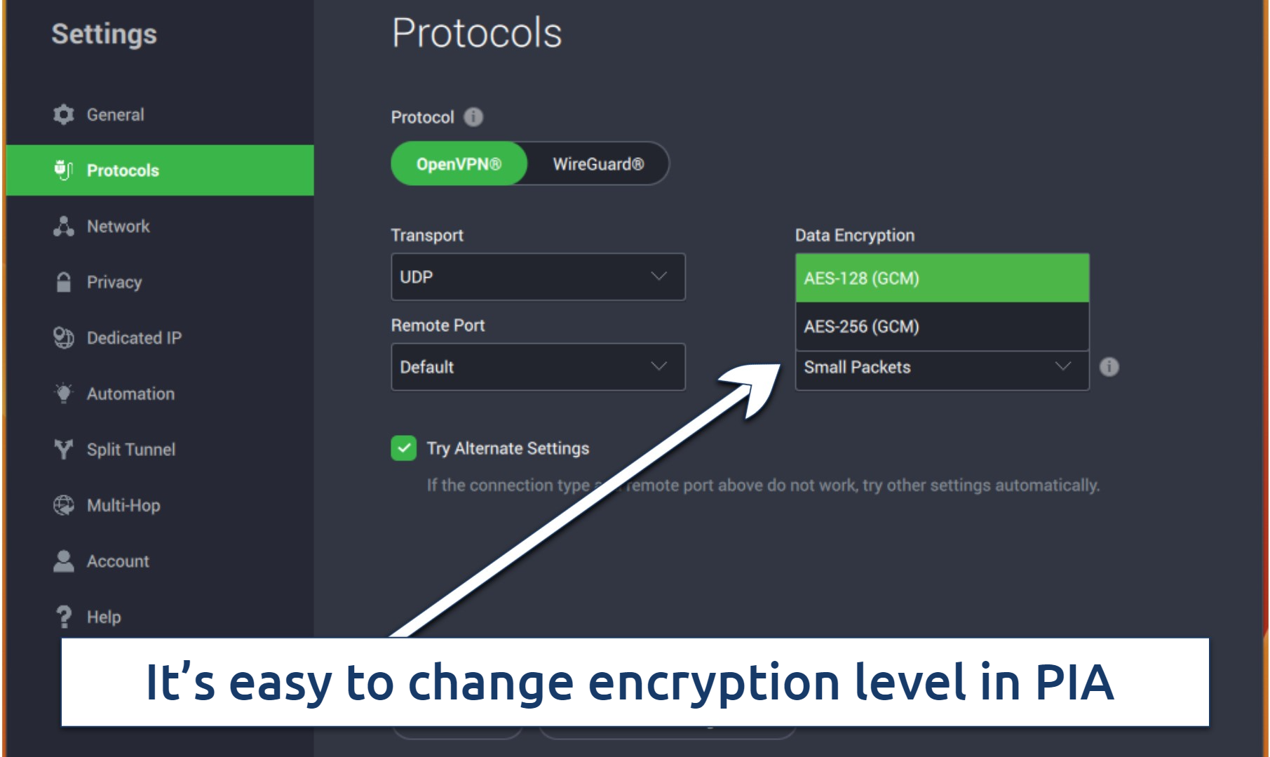 Screenshot of the encryption level toggle in PIA's settings