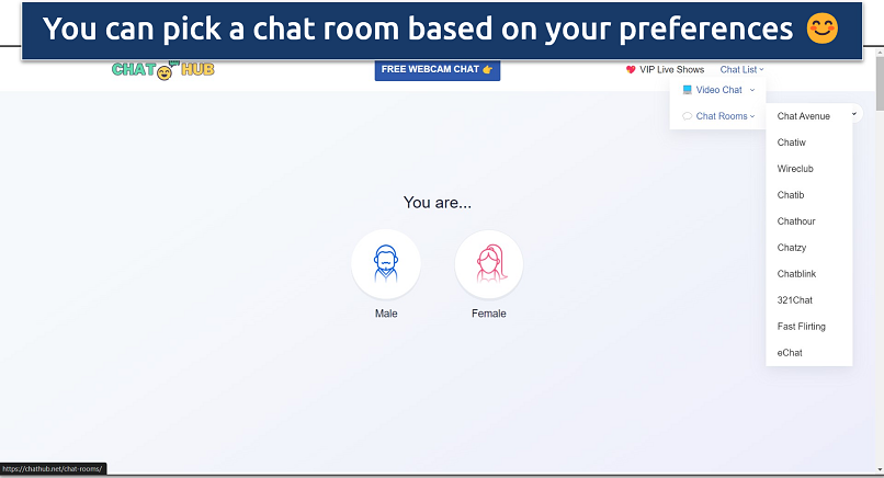 Screenshot of ChatHub’s homepage