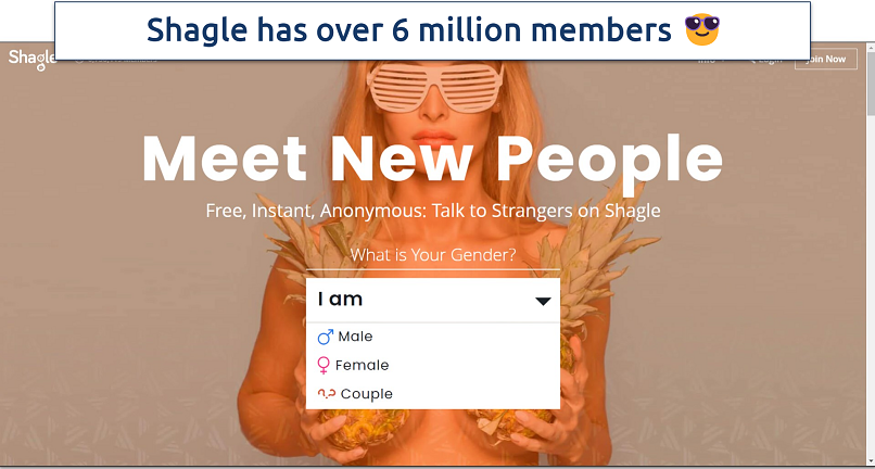 Screenshot of Shagle’s homepage