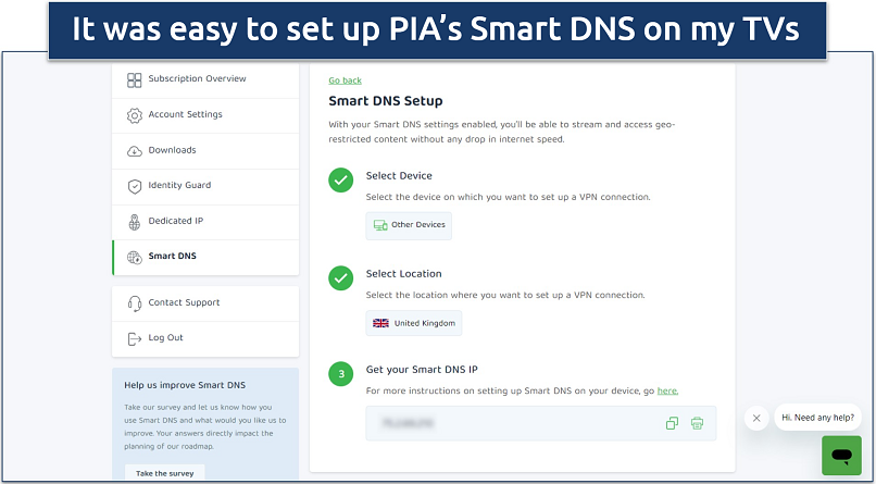 Screenshot of PIA’s Smart DNS settings