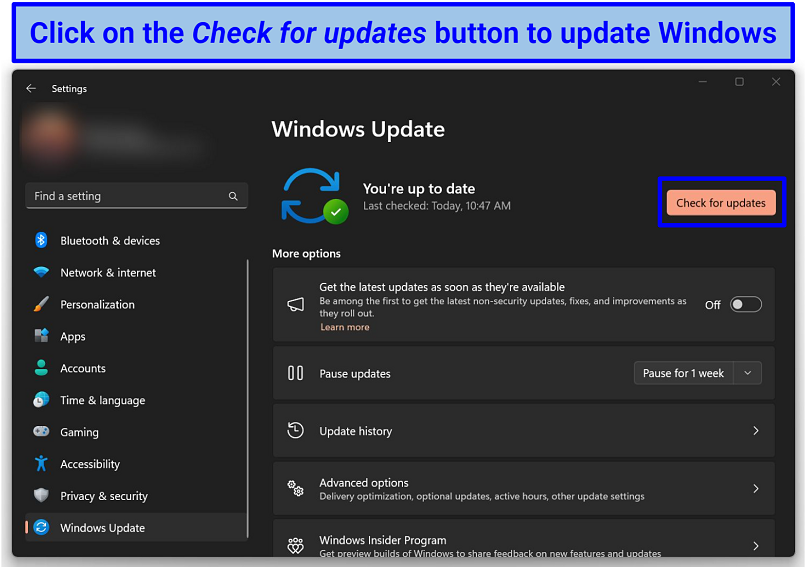 Screenshot of the Windows updates