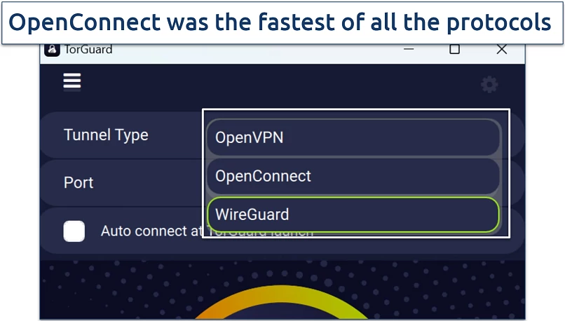 Screenshot of TorGuard's Windows settings showing protocol options