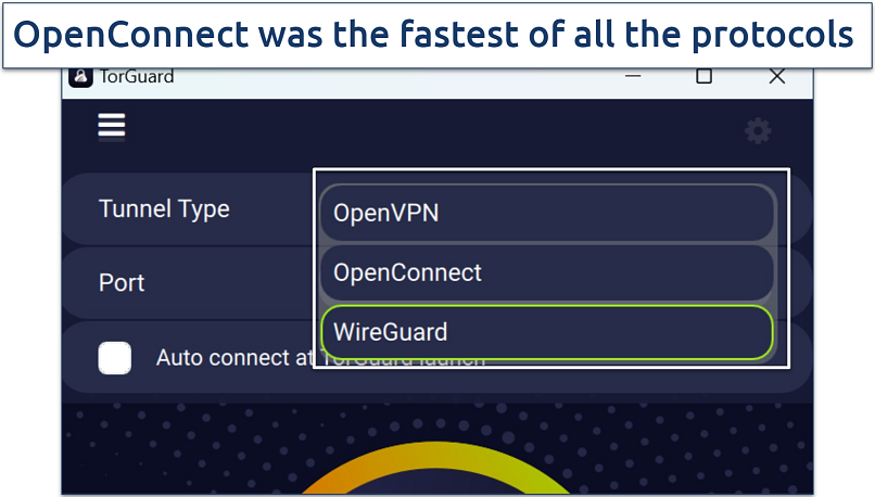 Screenshot of TorGuard's Windows settings showing protocol options