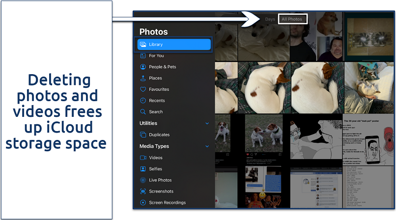 Screenshot of the Photos app on iPhone