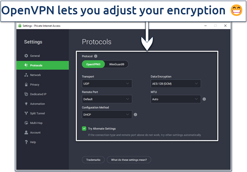 Screenshot of the PIA interface showing some of its customization options