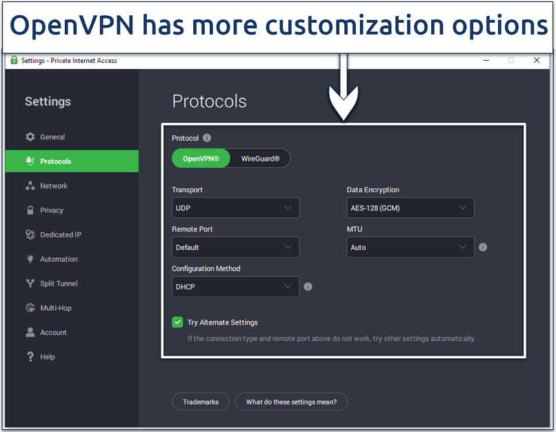 Screenshot of the PIA app showing some of the available customization options