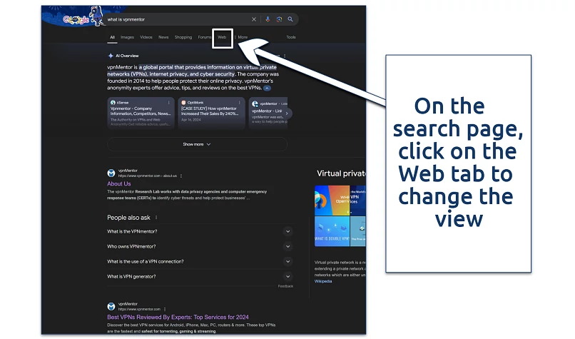 Screenshot showing how to access the web tab on the Google.com search result page