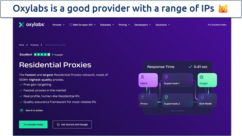 Screenshot of the Oxylabs proxies page