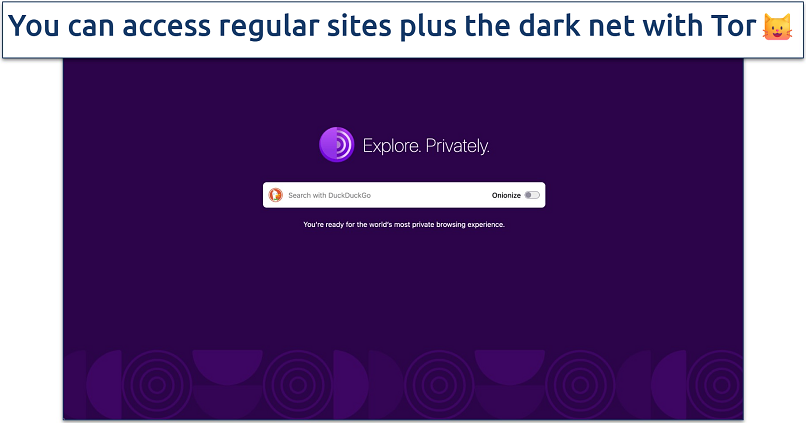 Screenshot of the Tor Browser homepage