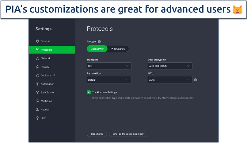 Screenshot of PIA's customizable security