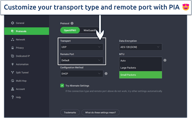 Image showing customizable settings of PIA