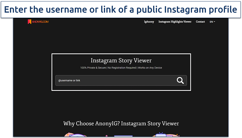 Screenshot of the AnonyIG Instagram stories viewer