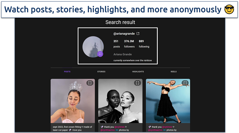 Screenshot of the AnonyIG search results
