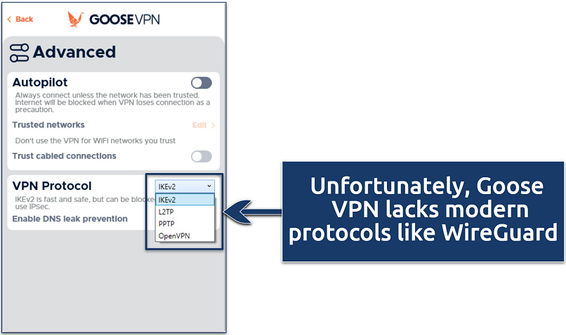 Screenshot of the Goose VPN Windows app showing supported VPN protocols