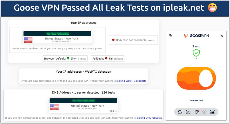 Screenshot showing Goose VPN leak test results on ipleak.net