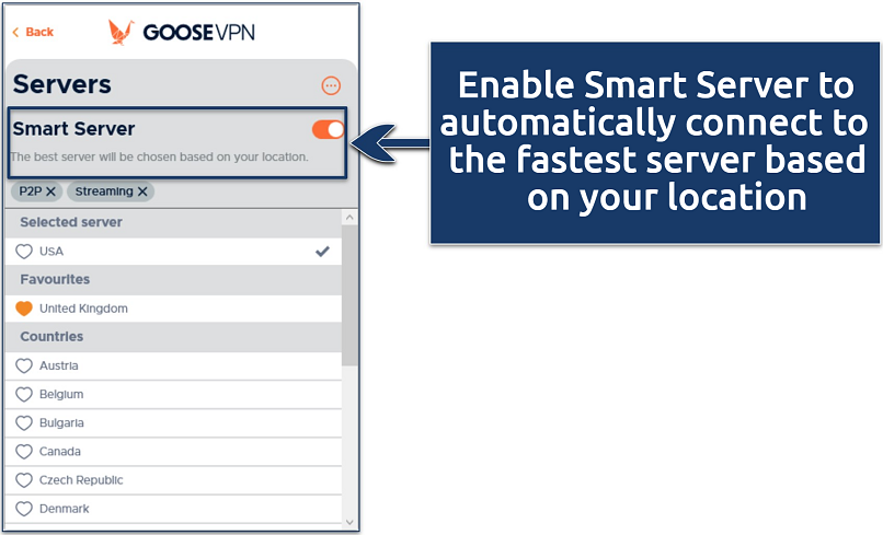 Screenshot showing the servers list on Goose VPN Windows app