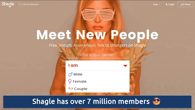 Screenshot of Shagle's homepage