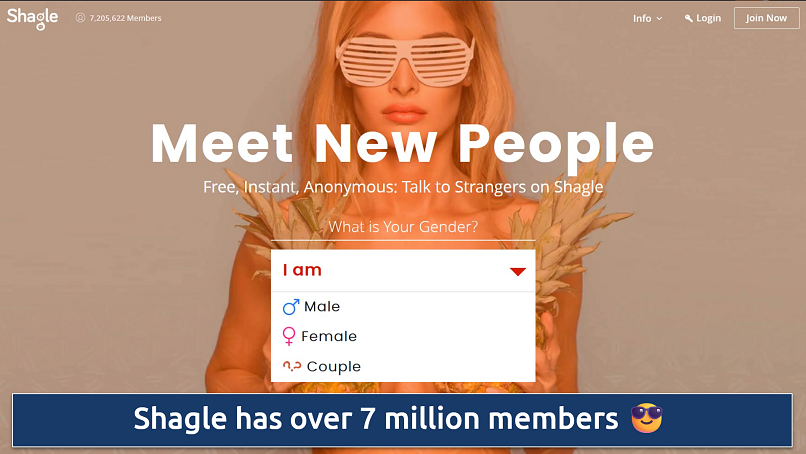 Screenshot of Shagle's homepage