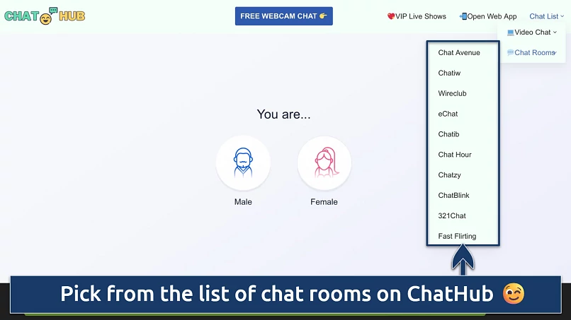 Screenshot of the ChatHub homepage