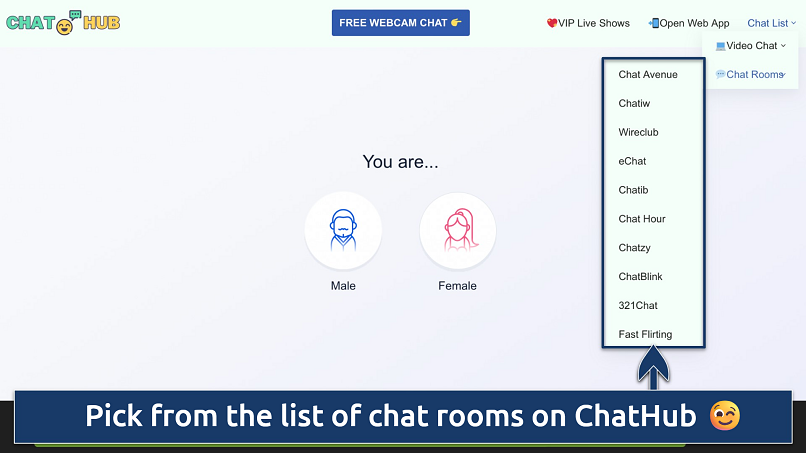 Screenshot of the ChatHub homepage