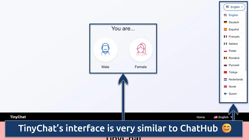  Screenshot of the TinyChat homepage