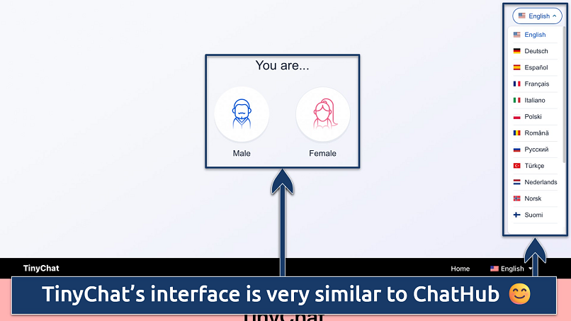 Screenshot of the TinyChat homepage