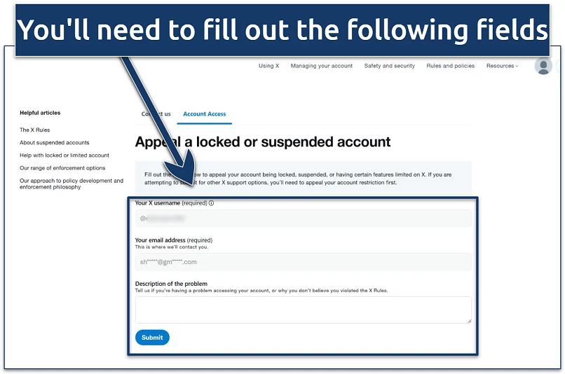 A screenshot showing X's appeal submission page