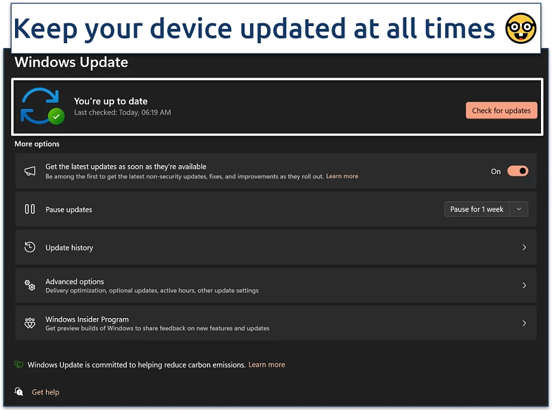 Screenshot of Windows Update