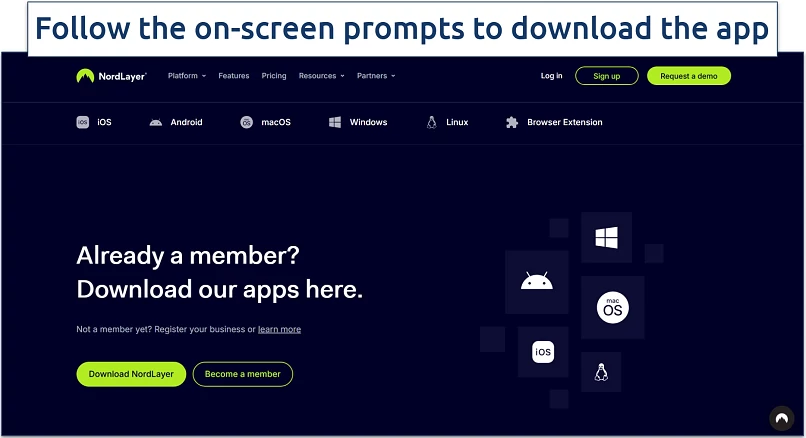 Screenshot of NordLayer's download page