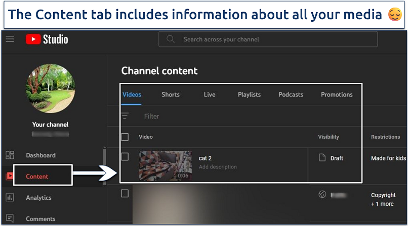 Screenshot of the YouTube Studio Published Content page